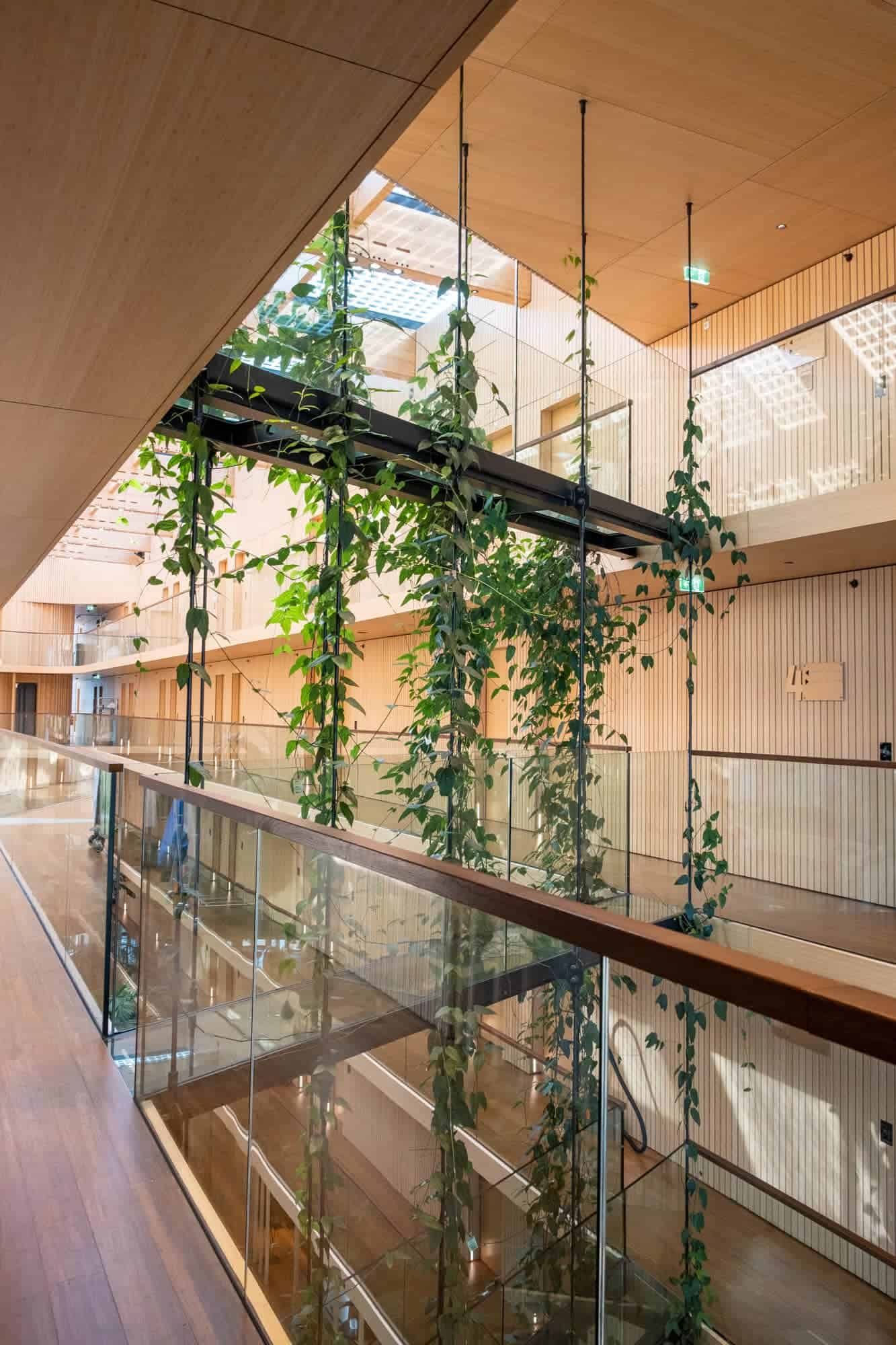 duurzaam hotel met zwembad