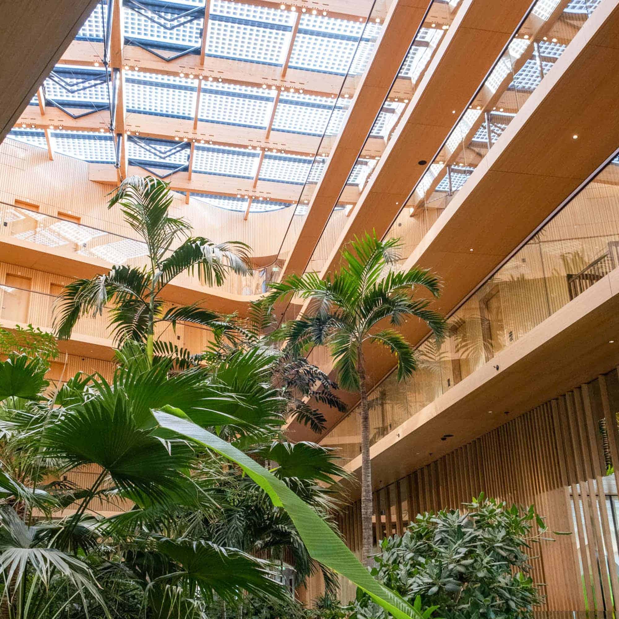 Ervaring hotel Jakarta Amsterdam met zwembad