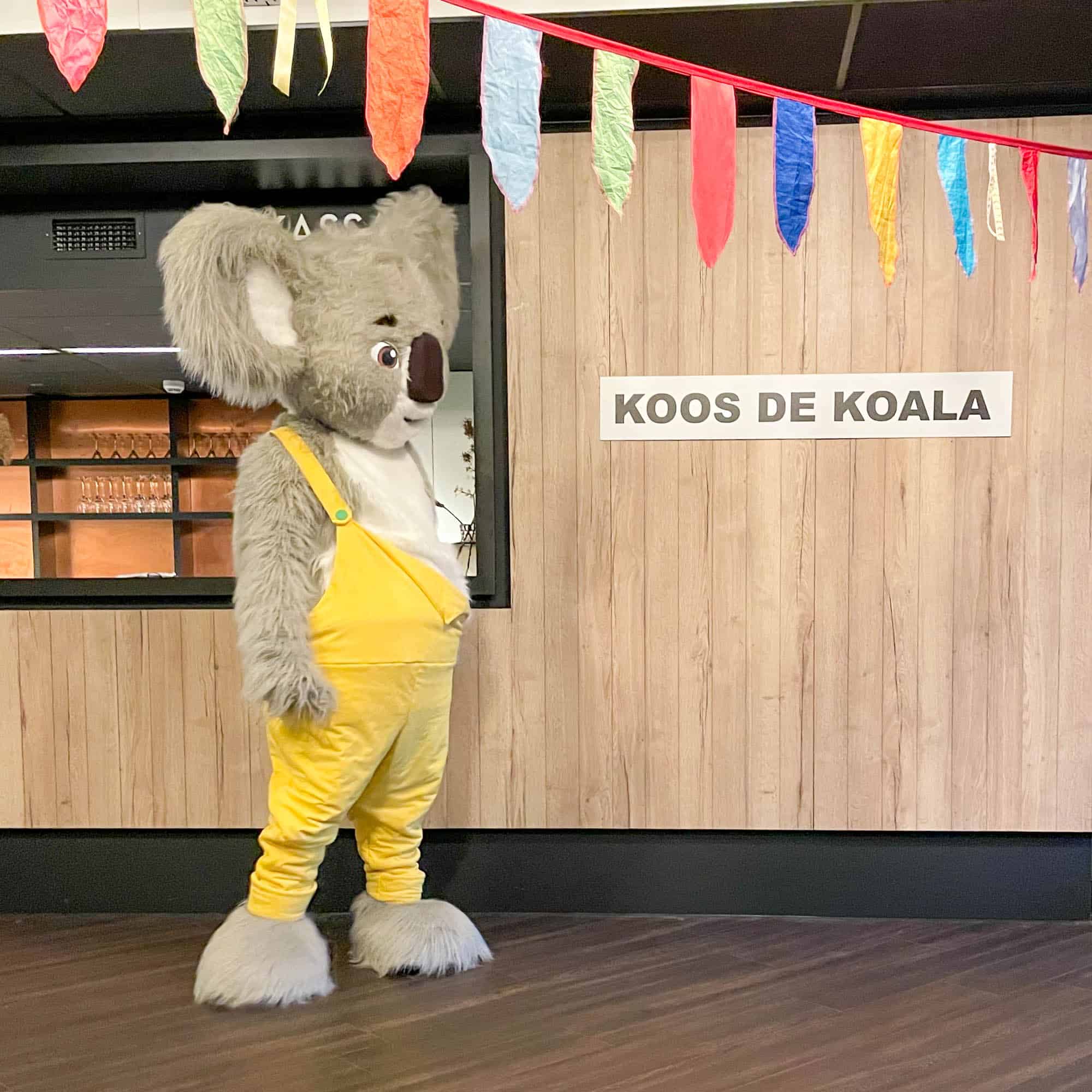 Koos & Moos theatervoorstelling