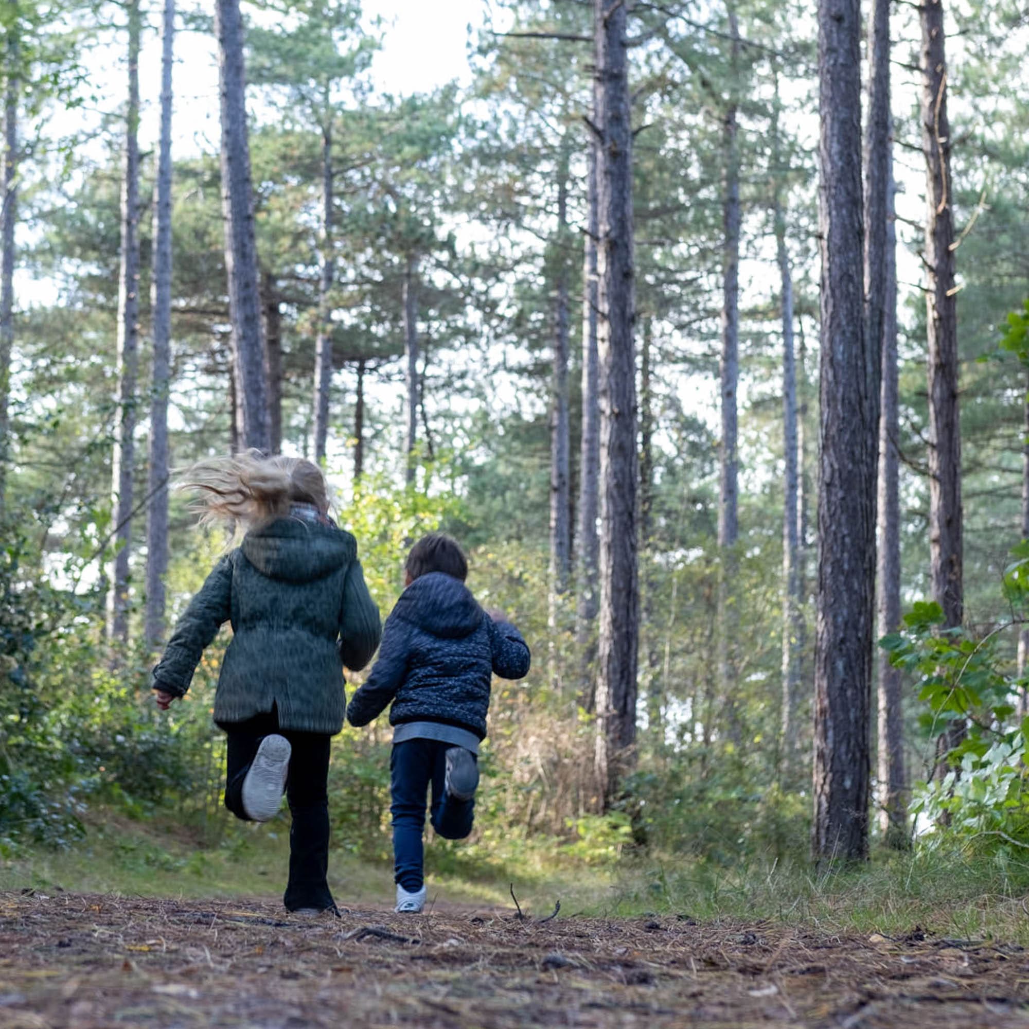 gratis uitjes in de herfstvakantie